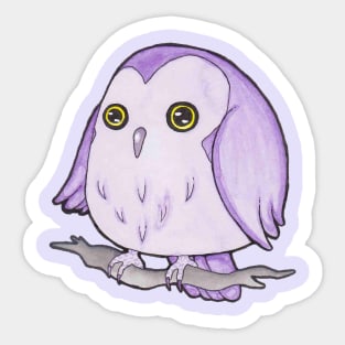 Nova the Owl Sticker